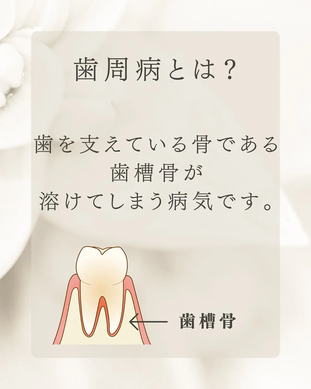 こんにちは、Nicoliスタッフの鈴木です。