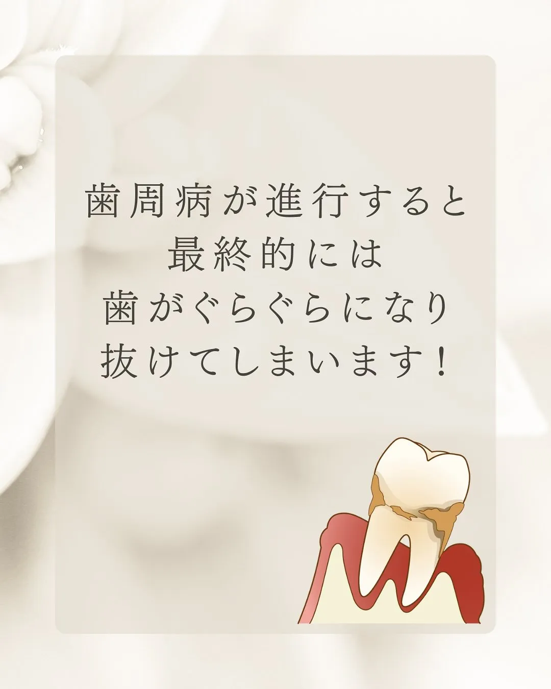 こんにちは、Nicoliスタッフの鈴木です。