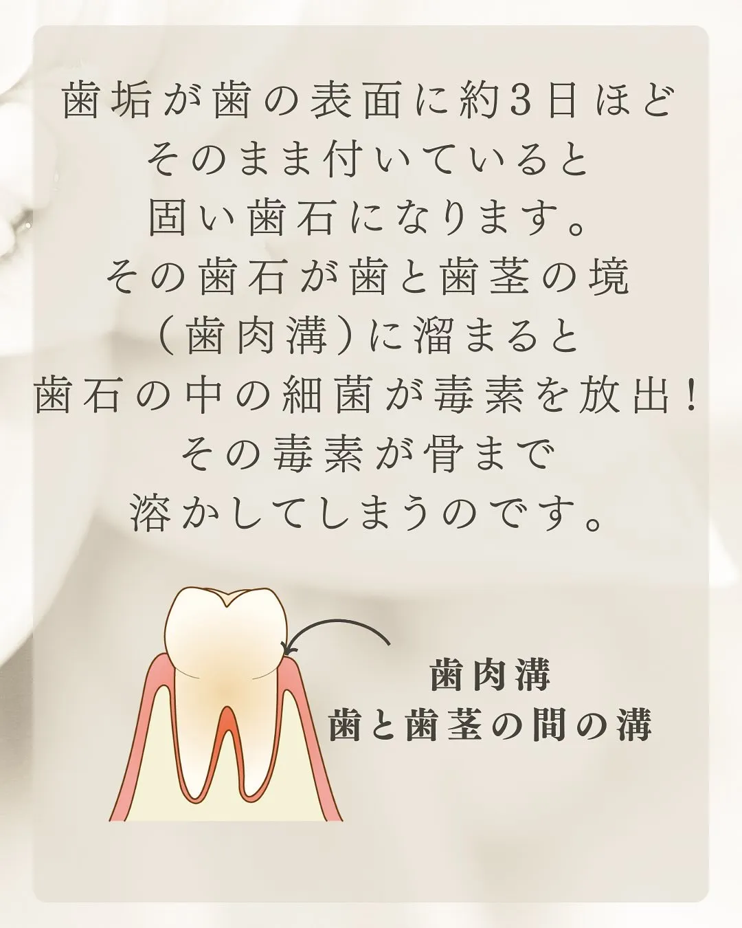 こんにちは、Nicoliスタッフの鈴木です。