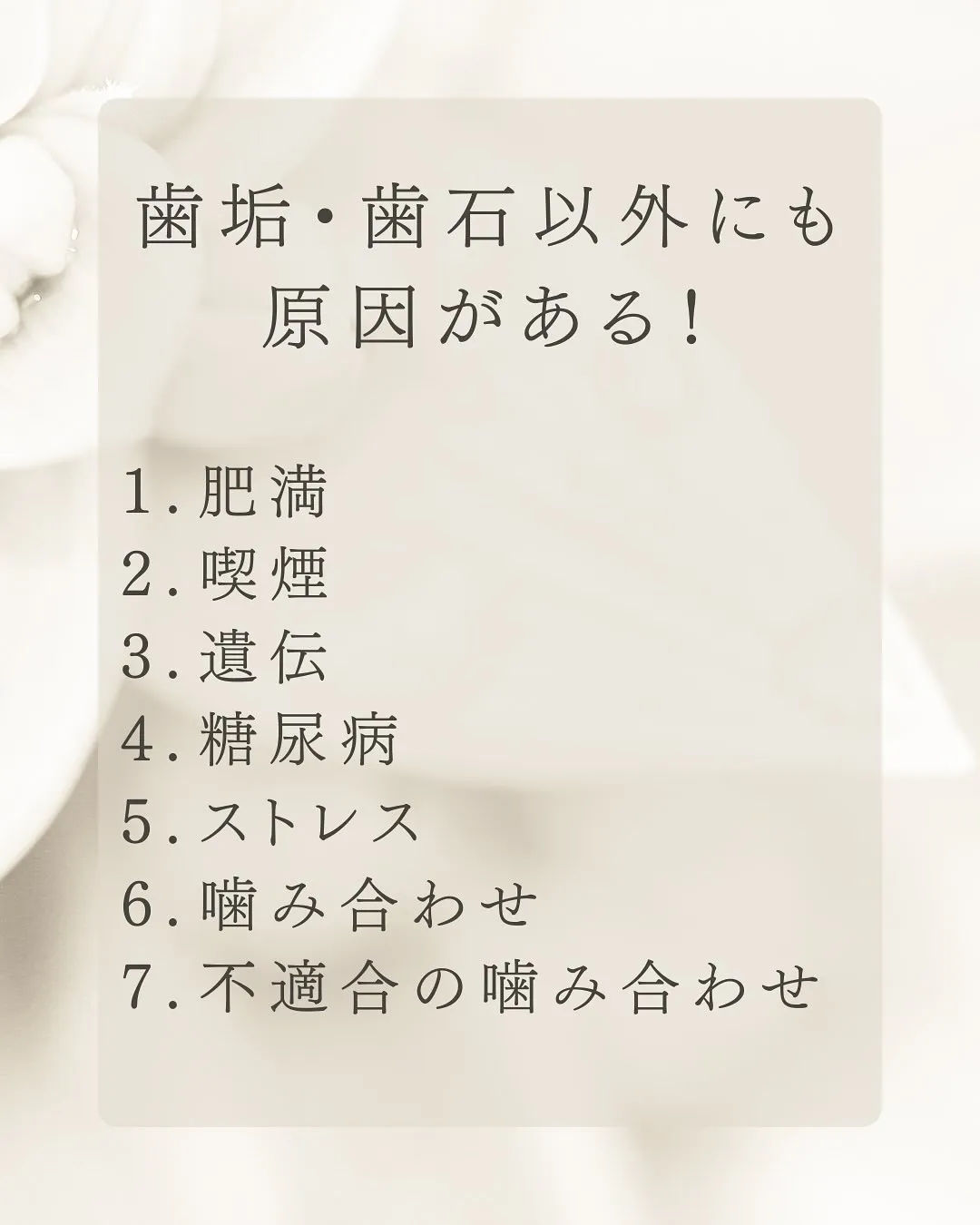 こんにちは、Nicoliスタッフの鈴木です。