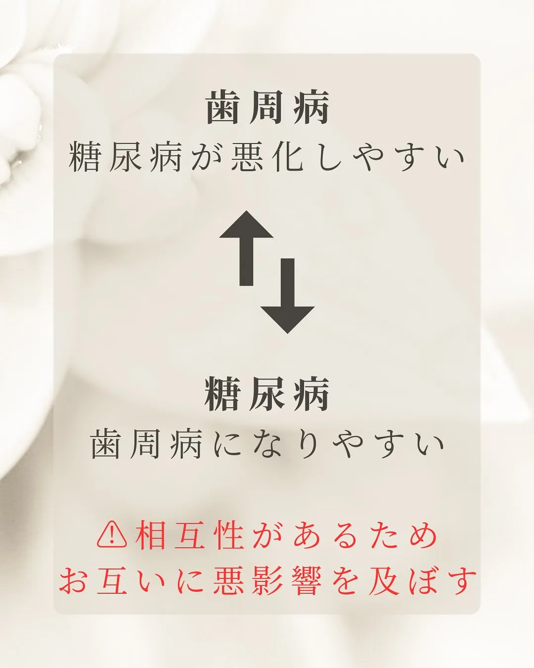 こんにちは、Nicoliスタッフの鈴木です。