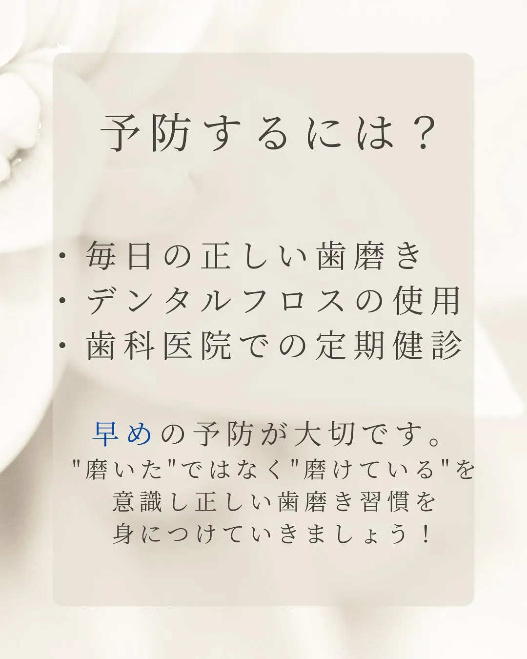 こんにちは、Nicoliスタッフの鈴木です。