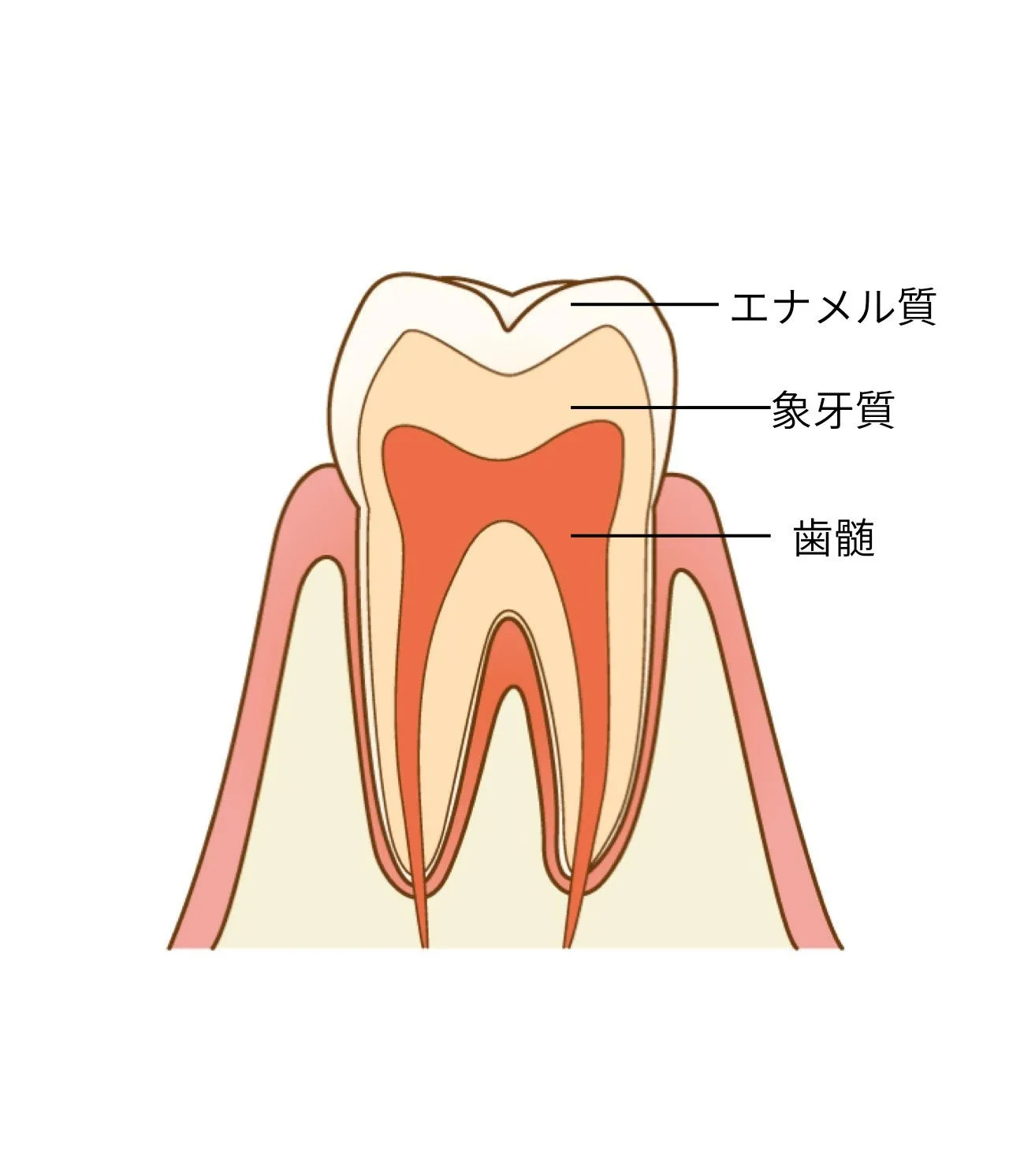 ホワイトニングの仕組み