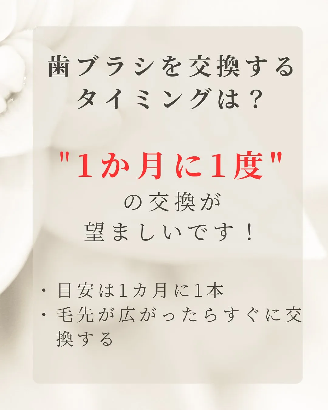 こんにちは、Nicoliスタッフの鈴木です。