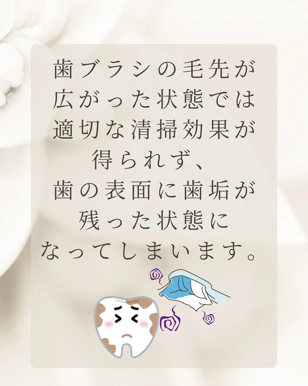 こんにちは、Nicoliスタッフの鈴木です。