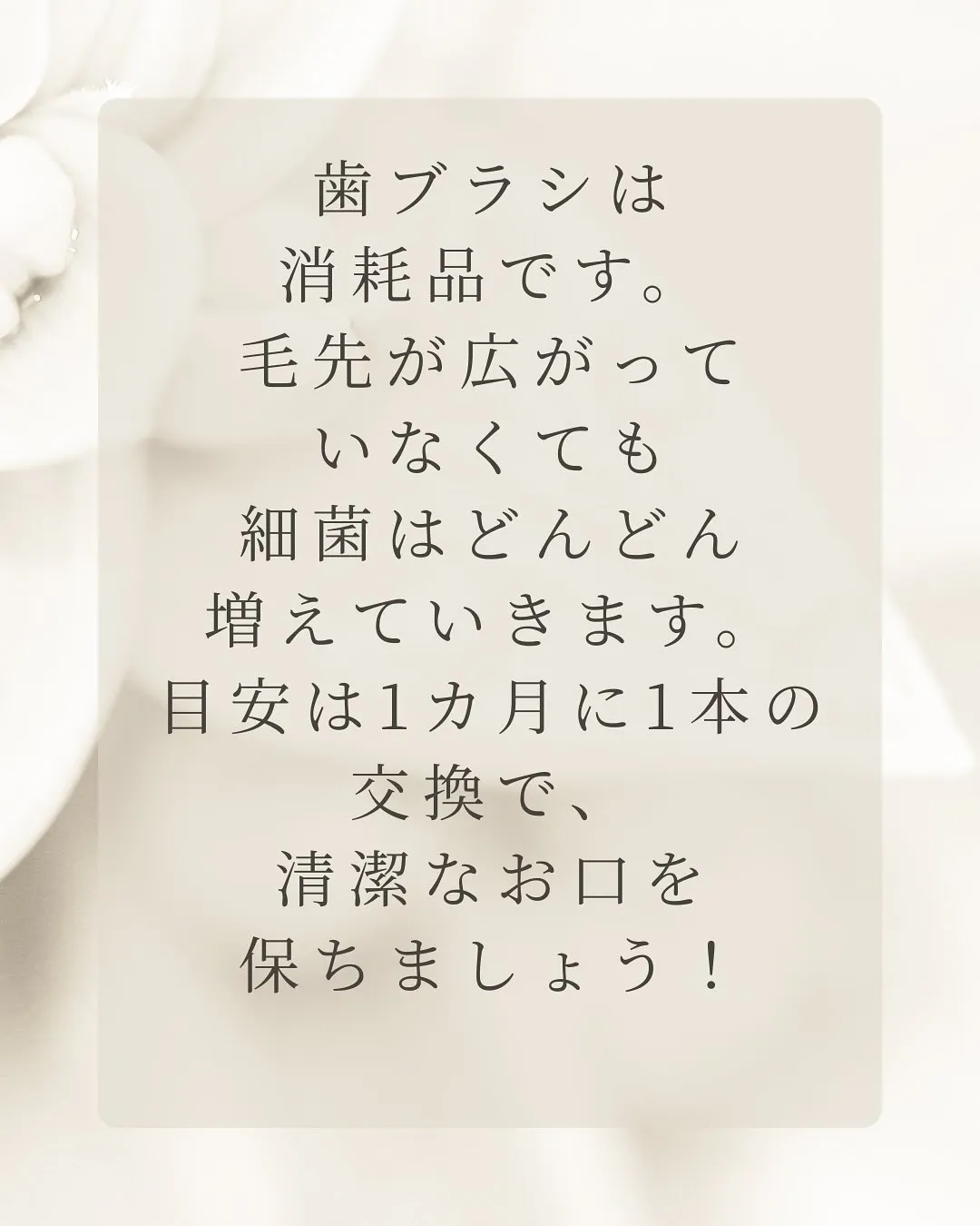 こんにちは、Nicoliスタッフの鈴木です。