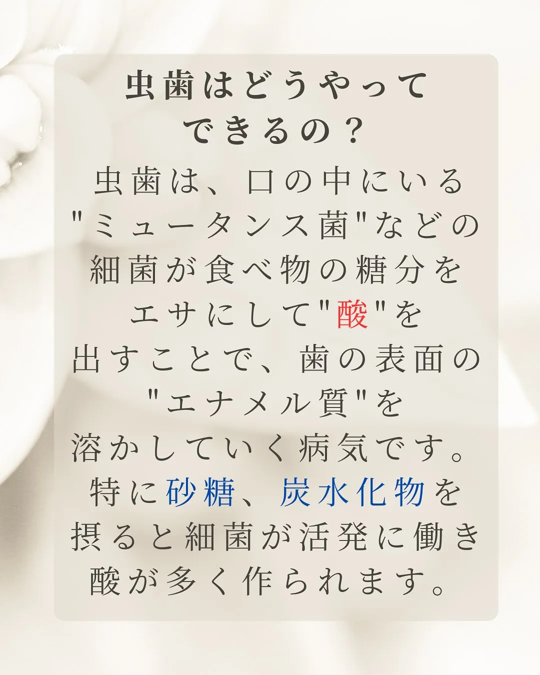 こんにちは、Nicoliスタッフの鈴木です。
