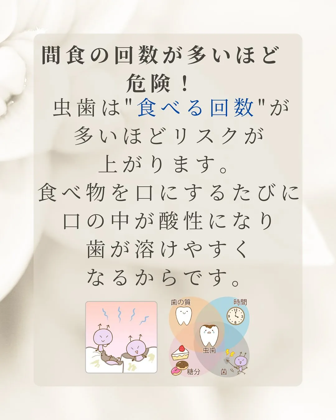 こんにちは、Nicoliスタッフの鈴木です。