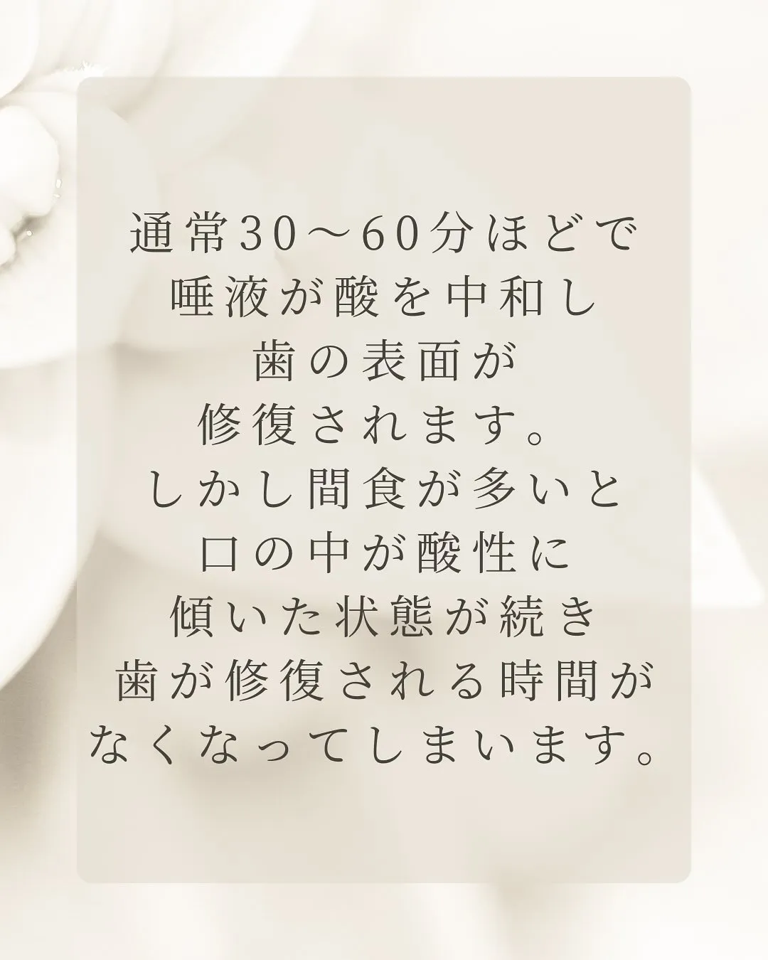 こんにちは、Nicoliスタッフの鈴木です。