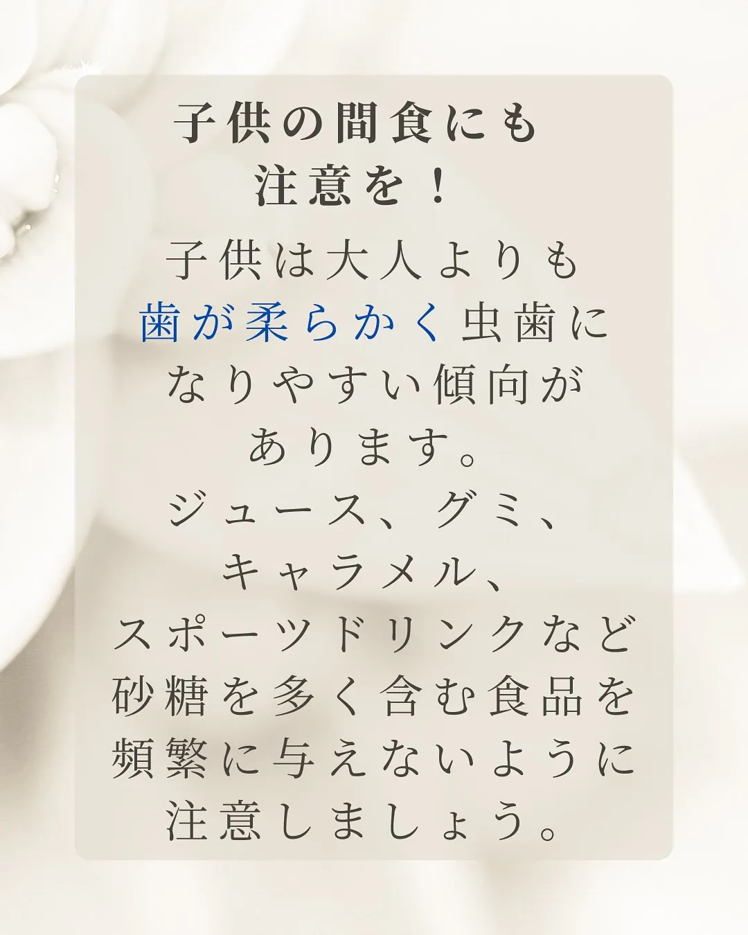こんにちは、Nicoliスタッフの鈴木です。