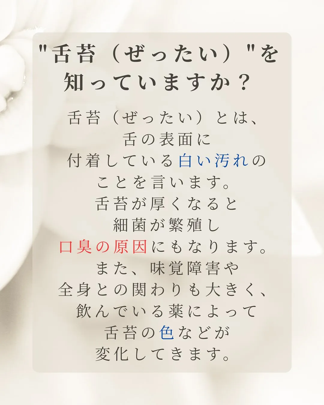 こんにちは、Nicoliスタッフの鈴木です。