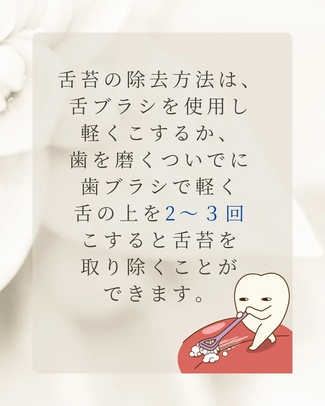 こんにちは、Nicoliスタッフの鈴木です。
