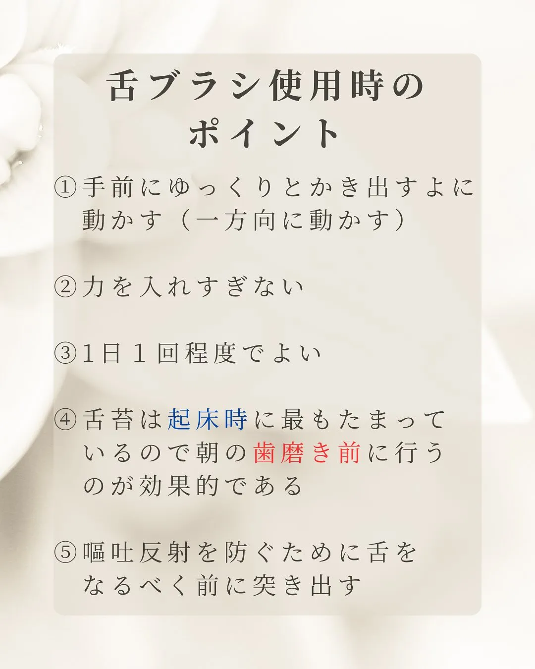 こんにちは、Nicoliスタッフの鈴木です。