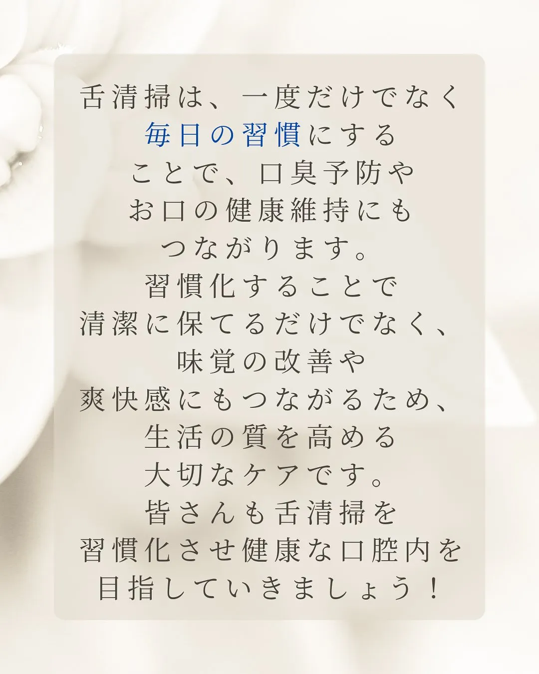こんにちは、Nicoliスタッフの鈴木です。