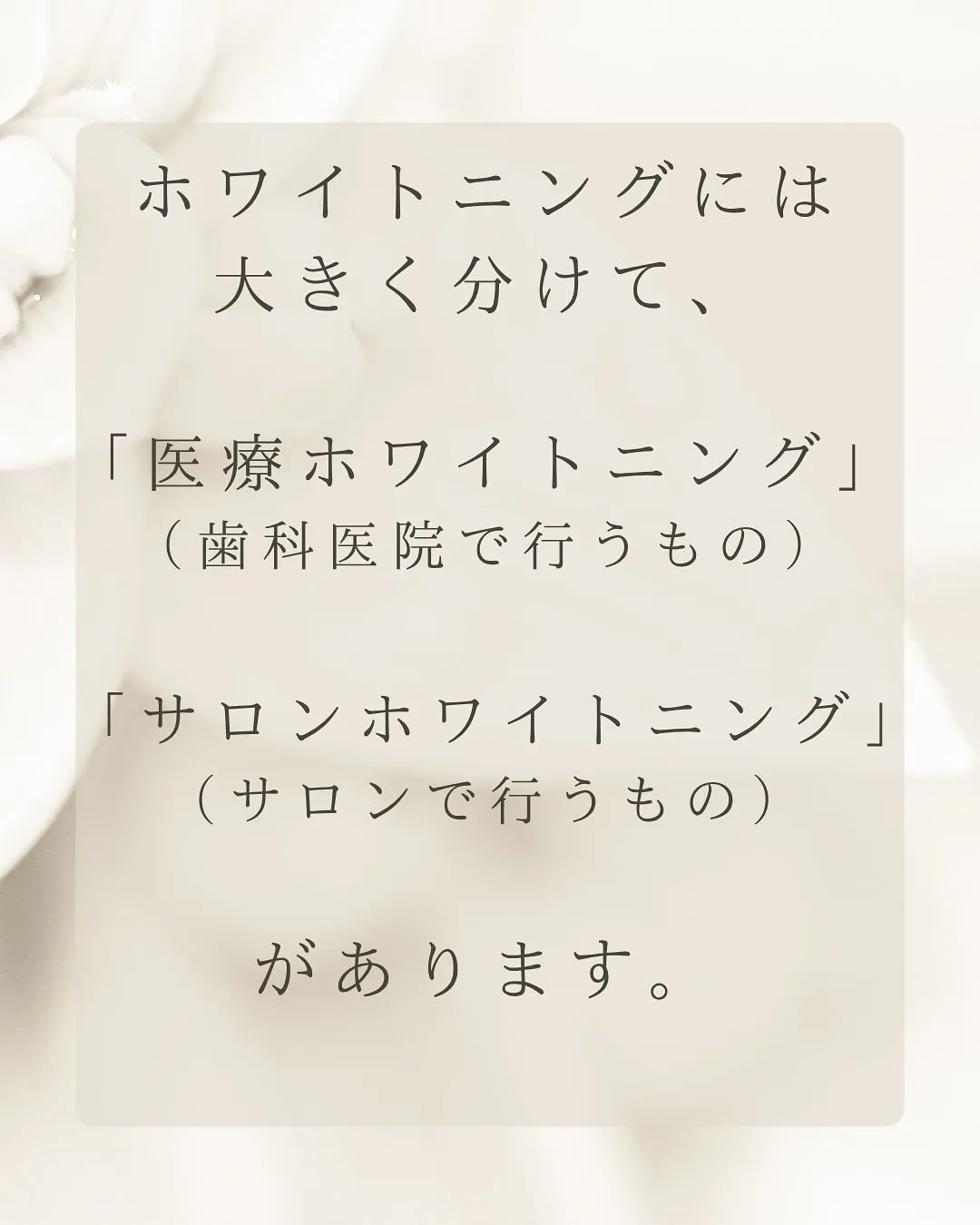こんにちは、Nicoliスタッフの鈴木です。