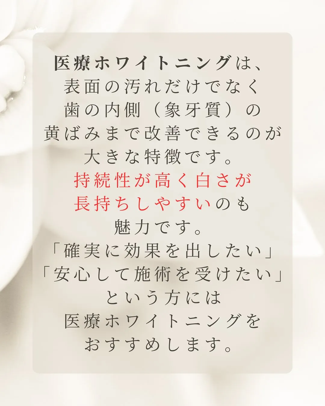 こんにちは、Nicoliスタッフの鈴木です。