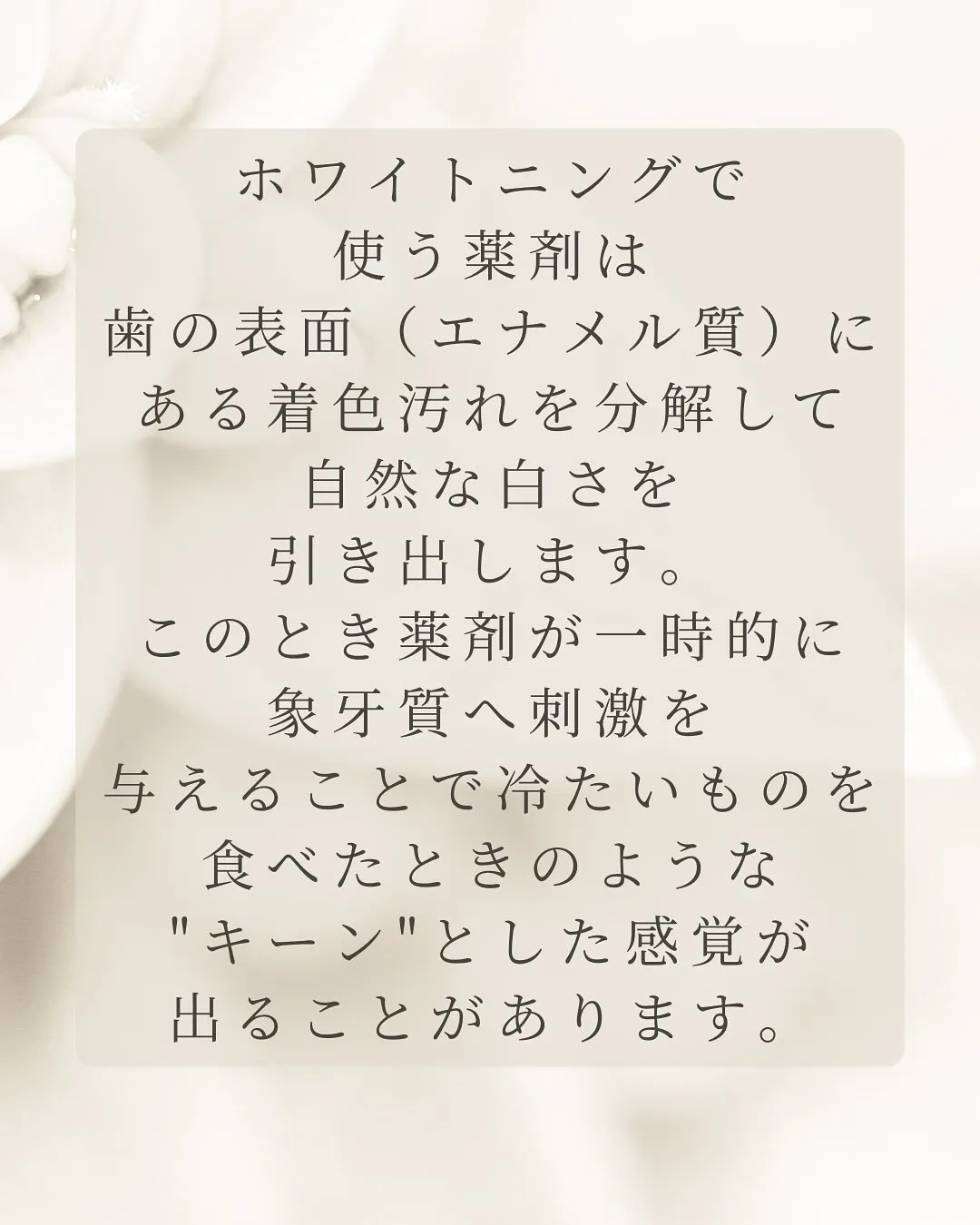 Nicoliスタッフの鈴木です。