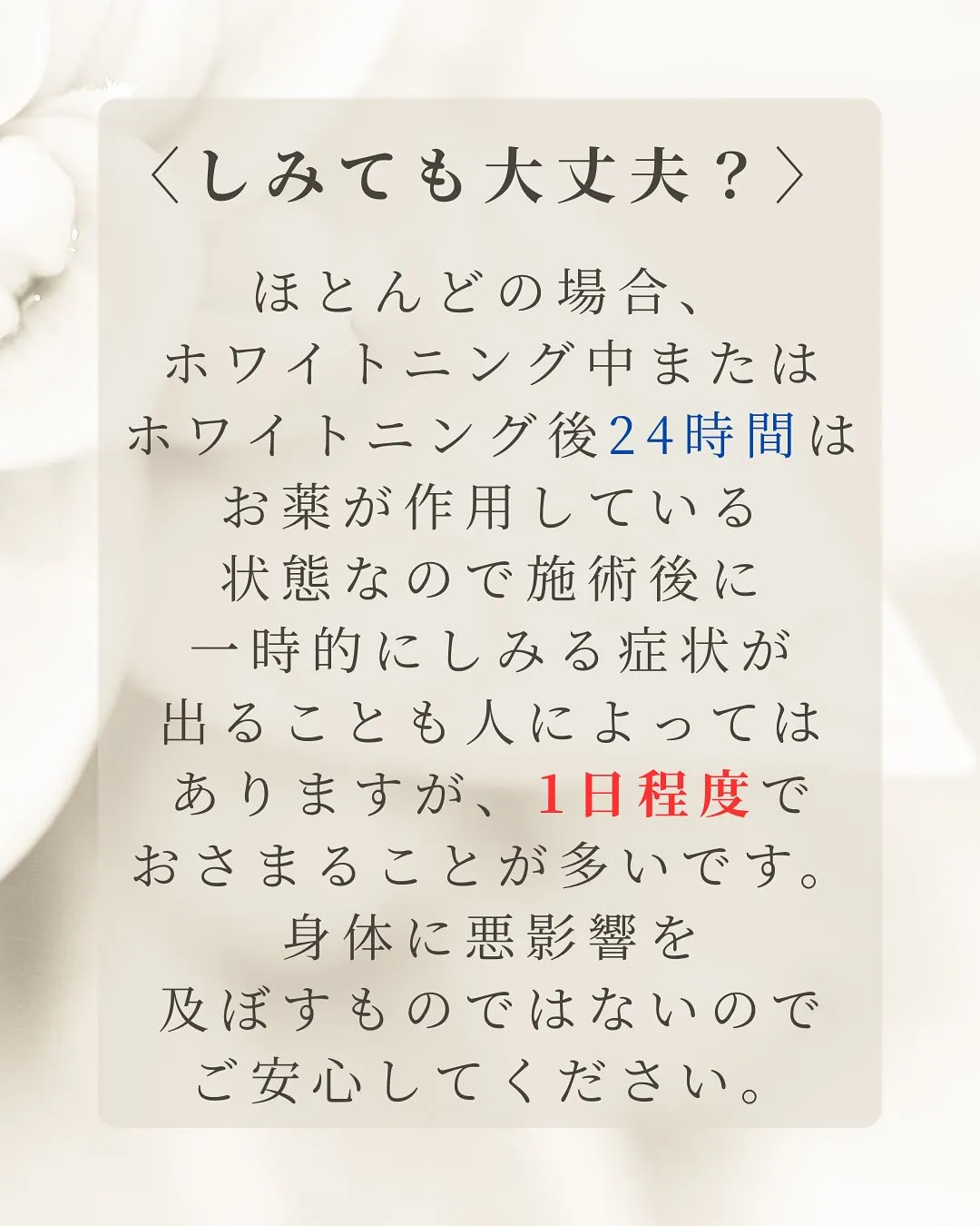 Nicoliスタッフの鈴木です。