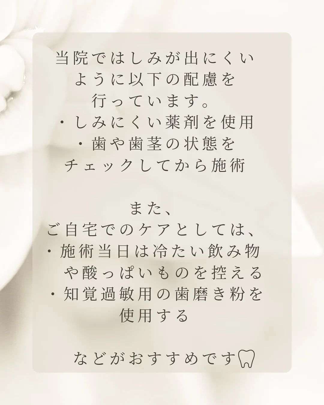 Nicoliスタッフの鈴木です。