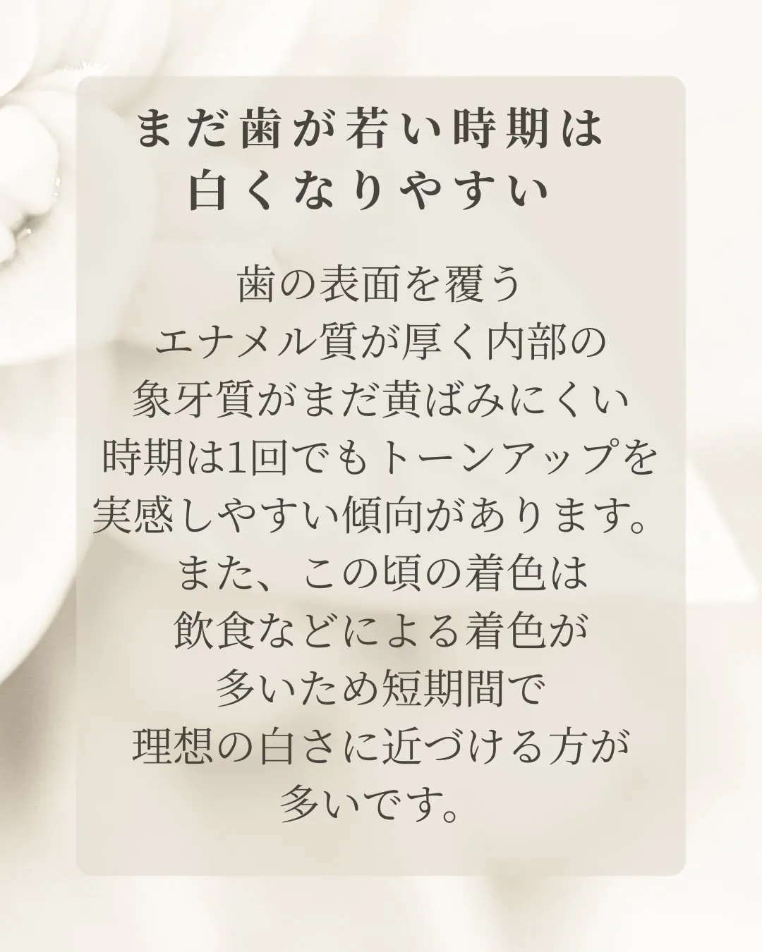 Nicoliスタッフの鈴木です。