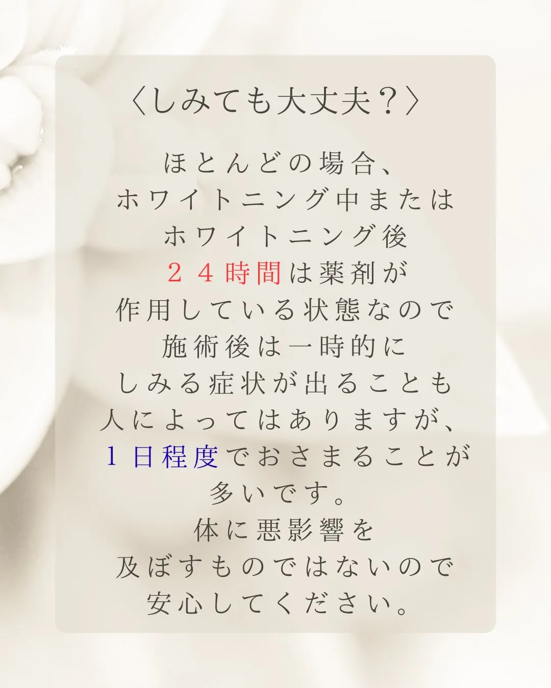 Nicoliスタッフの鈴木です。